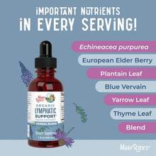 Lymphatic Support Herbal Blend Liquid Drops - USDA Organic Lymphatic Cleanse - Echinacea & Elderberry - Blue Vervain - Vegan - 30 Servings - Khác - Xem 7