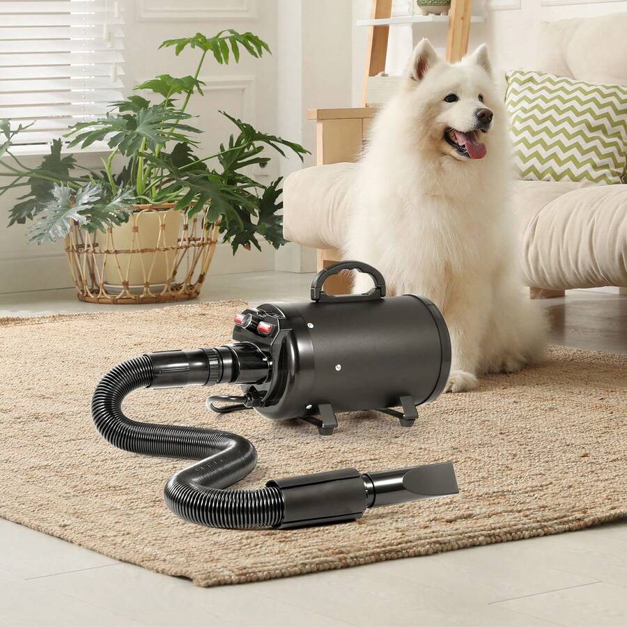 Electric Pet Grooming Tools - 50~60℃ Schwarzer Europäischer Stecker 220V - View 1