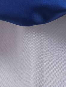 Tween Girls Long Sleeve Lace Beaded 3D Floral Mesh Elegant Piano Recital Dress, Suitable For Birthday Party, Ball, Excludes Headband - 寶藍色 - 查看 10