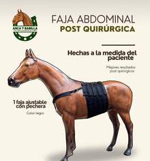 FAJA ABDOMINAL PARA CABALLO - Negro - Ver 2
