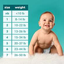 Pampers Baby Dry - Pañales Etapa 3, 32 Piezas.Para bebés de 7 a 13 Kg - Talla 4 (28 Unidad) - Ver 8