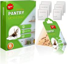 Pantry Moth Traps With Pheromone Attractant, 6 Pack Adhesive Traps