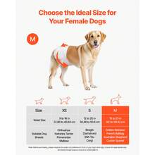 Disposable Dog Diapers, Super Absorbent Female Dog Diapers, 360° Leak-Proof Female Doggy Pet Diaper With Wetness Indicator For Heat Period, Training, Incontinence - M, 96 Count (2 Packs Of 48) - M Size 96 Count (2 Packs Of 48) - View 2