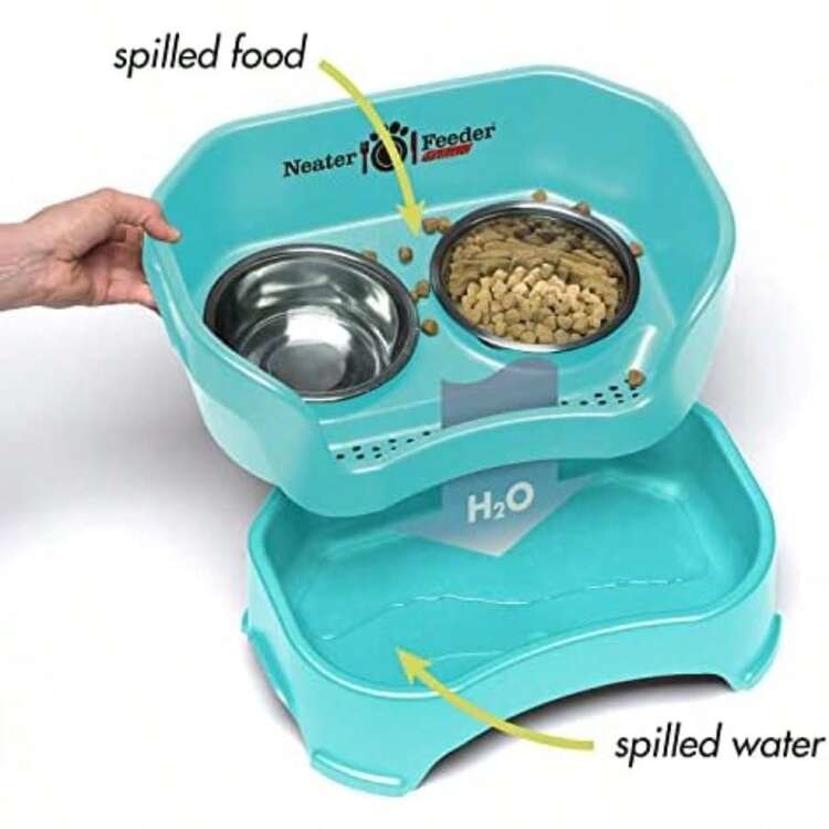 Neater Feeder Deluxe Small Dog (Cranberry) - Mess Proof Elevated Bowls No Slip Non Tip Double Diner Stainless Steel Dish with Stand(Gato Aguamarina (Aquamarine)) - Tipo 8 - Añade 4