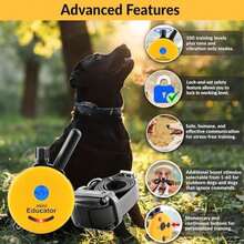Pet Basic Dog Collars - Type4 - View 3