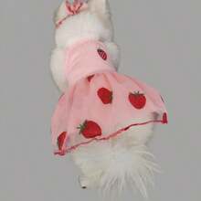 Vestido de tul de verano ligero para mascotas para Pomerania, Bichón Frisé, Caniche, Yorkshire Terrier, Schnauzer y otros perros pequeños - Rosa Pálido - Ver 7
