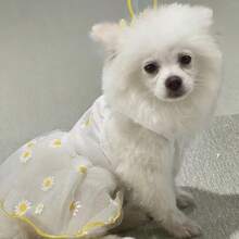 1件宠物连衣裙，轻薄夏季宠物薄纱连衣裙，适合狗狗、贵宾犬、比熊犬、泰迪犬、约克夏梗犬、雪纳瑞犬、小型犬等。 - 白色 - 查看 7