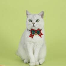 Pet Basic Dog Collars - Red - View 2