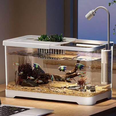 Small Desktop Aquarium Tank With Oxygen Filter, Plastic Clear Fish & Turtle Tank For Office Or Living Room