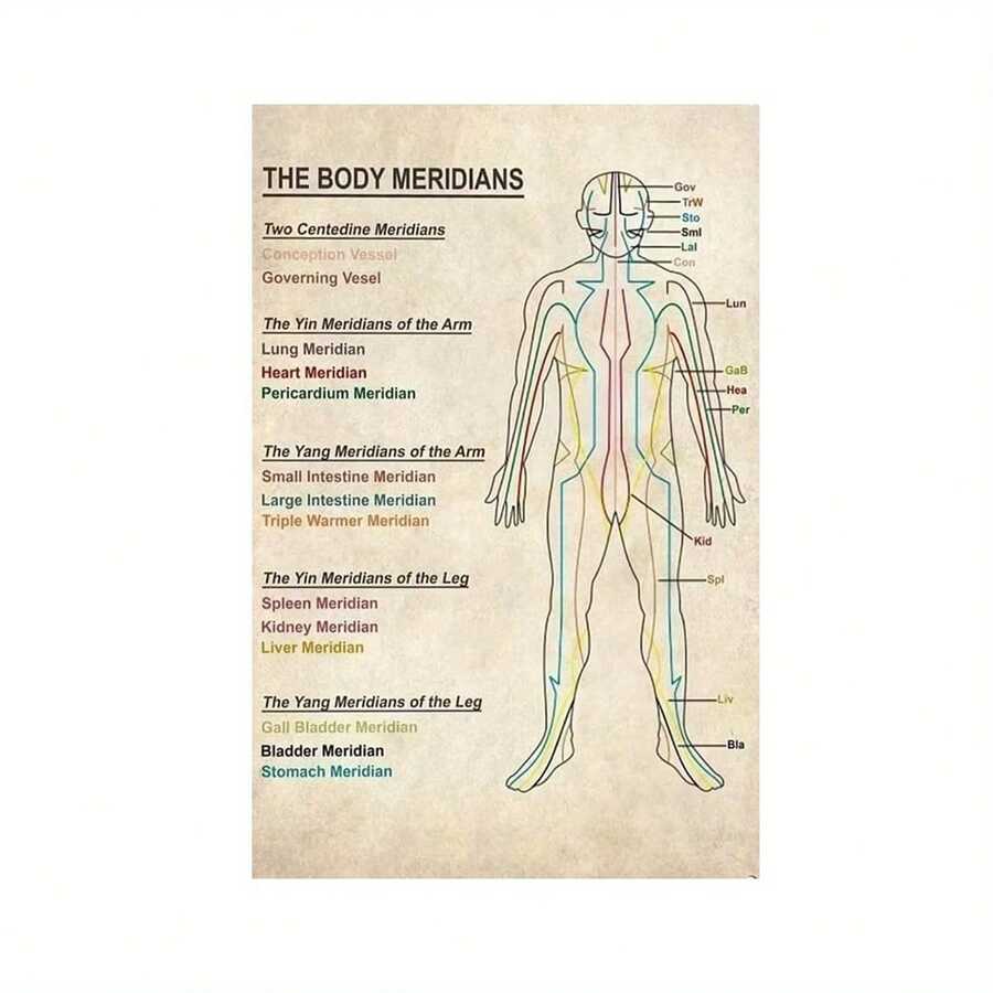 1pc Canvas Body Meridians Chart Poster, Frameless Reflexology Acupuncture Points Map, Water-Proof Art Print For Home, Office, Clinic Wall Decor, Educational Healing Poster - Multicolor - View 1