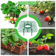 10 PCS Strawberry Plant Support Holder Plastic Strawberry Cradle Lifter For Garden Raised Bed & Container(9.8*7.9*3.9in) - Xanh lá cây-25*20*10cm - Xem 5
