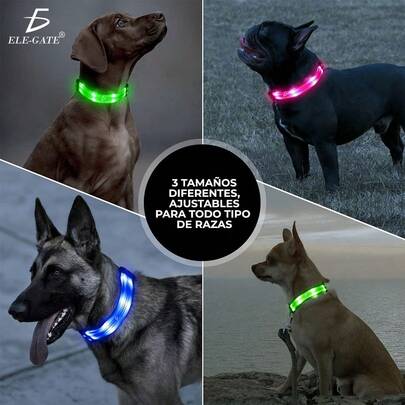 ELE-GATE Collar Para Perro Gato Mascota Iluminado Con Luz Led Forma:M