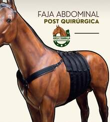 FAJA ABDOMINAL PARA CABALLO - Negro - Ver 1