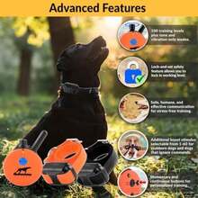 Pet Basic Dog Collars - Type6 - View 3