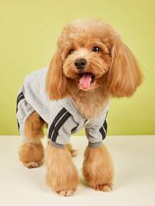 1 件适合小型犬的英文字母印花连帽运动衫，适合雪纳瑞、博美犬、柴犬的秋季羊毛夹克 - 灰色 - 查看 5