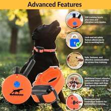 Educator Collar de entrenamiento para perros, control remoto, 100 niveles de estimulación, sensación de golpeo, luz nocturna, impermeable, recargable, 1 milla, negro(anaranjado, (Upland Orange) 1 Mile 1 Dog) - Tipo 7 - Ver 3