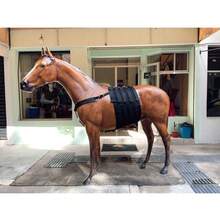 FAJA ABDOMINAL PARA CABALLO - Negro - Ver 7