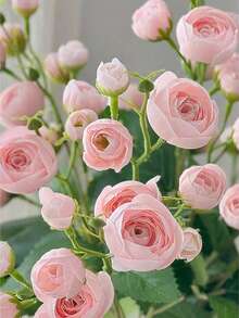 1/3/5 bukietów sztucznych różowych kwiatów kamelii, każdy bukiet zawiera 12 pąków kwiatowych. Te bukiety kwiatów kamelii na długiej łodydze idealnie nadają się do dekoracji domu, wesel, walentynek, sypialni, salonu i łazienki, jako ozdoby stołu, kompozycje kwiatowe do wnętrz i na zewnątrz, spotkania rodzinne, wesela, wieczory panieńskie i dekoracje na Święto Dziękczynienia. To idealny prezent dla kobiet. - Jasnoróżowy - Zobacz 5