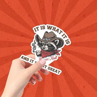 浣熊贴纸、搞笑浣熊贴纸、复古浣熊贴纸、千禧一代、Z世代幽默、可爱浣熊贴纸、防水贴纸、汽车贴纸、保险杠贴纸