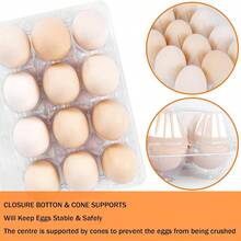50 Pack 12 Count Plastic Cartons - Bulk Cheap Reusable Containers Chicken Eggs, Dozen Storage Solutions. 50 - 50 - View 5