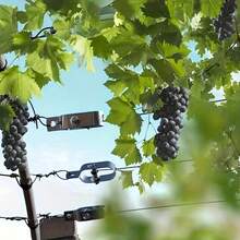 Chei din oțel inoxidabil de înaltă calitate pentru cabluri și garduri. Fabricate profesional pentru montarea clichetelor, sunt indispensabile și pentru sere și podgorii. Fabricate din oțel inoxidabil premium, aceste chei asigură succesul pe termen lung în aceste medii dificile. - Argint - Vizualizare 8