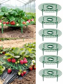 10 PCS Strawberry Plant Support Holder Plastic Strawberry Cradle Lifter For Garden Raised Bed & Container(11.8*11.8*3.9in) - 綠色-30*30*10cm - 查看 1
