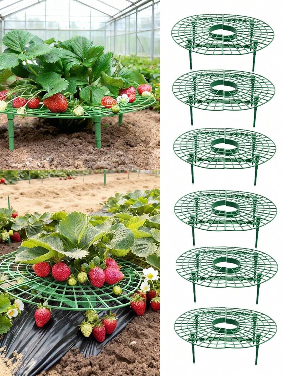 10 PCS Strawberry Plant Support Holder Plastic Strawberry Cradle Lifter For Garden Raised Bed & Container(11.8*11.8*3.9in) - 綠色-30*30*10cm - 查看 1