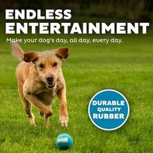 Outward Hound Squeaker Ballz 4-Pack Tennis Ball Dog Toys With Squeaker, Interactive Fetch Play For Pets Under 50 Lbs, Training Balls For Indoor &Amp; Outdoor Exercise, Medium, 25-Inch - MàuF - Xem 5