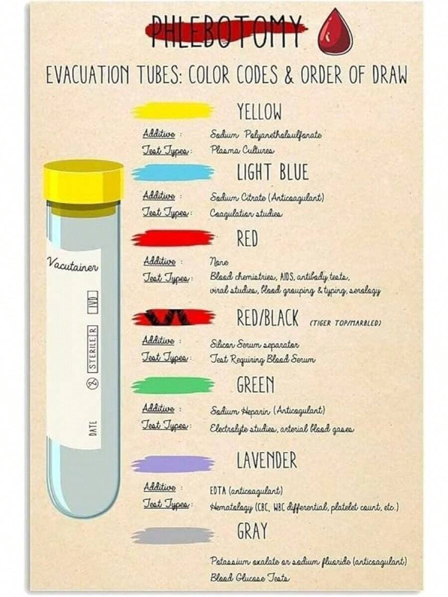 Phlebotomy Wall Art Evacuation Tube Color Codes & Order Of Draw Canvas ...