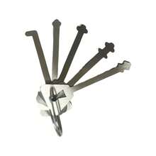 10件套不锈钢万能钥匙套装，多种形状，适用于各种锁具，应急开锁，男士工具