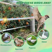 1/5卷超强反光驱鸟胶带 - 耐用防鸟胶带、稻草人反光胶带、彩色反光驱鸟胶带、葡萄园鸟类控制胶带、阳台鸽子驱避胶带、耐候驱鸟胶带、双面反光胶带、适用于花园、家庭和农场的简易驱鸟方案、耐用材料、耐候 - 彩色 - 查看 6