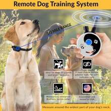 Educator Collar de entrenamiento para perros, control remoto, 100 niveles de estimulación, sensación de golpeo, luz nocturna, impermeable, recargable, 1 milla, negro(Zen 1 Dog) - Tipo 2 - Ver 4