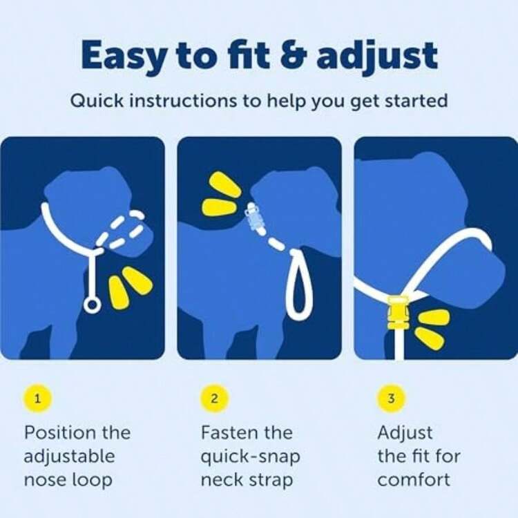PetSafe Gentle Leader - Collar para Perro sin tirones, Azul Royal, Small Up to 25 LB.(Large 60-130 Lb. Púrpura profundo) - Tipo 1 - Añade 7