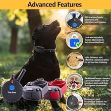 Pet Basic Dog Collars - Type3 - View 3