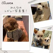 犬 服 ドッグウェア ボーダー パーカー 冬服 犬服 小型犬 中型犬 大型犬 お揃い ペアルック コットン ブラック 2XL - ブラウン + 3XL - チェックする 7