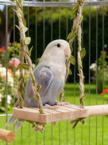 纯天然鹦鹉玩具秋千鸟玩具解闷玩乐虎皮牡丹专用品爬咬笼室内摆件