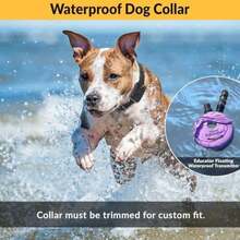 Pet Basic Dog Collars - Type1 - View 6