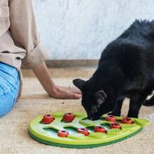 By Nina Ottosson Buggin Out Puzzle U2013 Interactive Treat Puzzle Feeder Cats, 16 Hidden Treat Compartments Slow Feeder, Durable Easy - Clean, 13 Inches, Green - Buggin Out - 查看 8