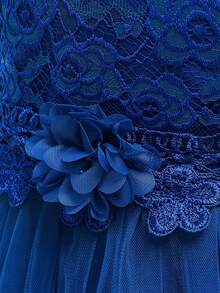 Tween Girls Long Sleeve Lace Beaded 3D Floral Mesh Elegant Piano Recital Dress, Suitable For Birthday Party, Ball, Excludes Headband - 寶藍色 - 查看 6