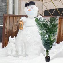 Cubierta protectora de invierno para plantas, transparente, reutilizable, para exteriores, a prueba de heladas, para jardín, para plantas y vegetales. - Blanco - Ver 2