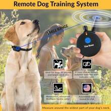 Pet Basic Dog Collars - Type3 - View 4