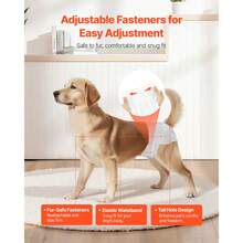 Disposable Dog Diapers, Super Absorbent Female Dog Diapers, 360° Leak-Proof Female Doggy Pet Diaper With Wetness Indicator For Heat Period, Training, Incontinence - M, 96 Count (2 Packs Of 48) - M Size 96 Count (2 Packs Of 48) - View 5