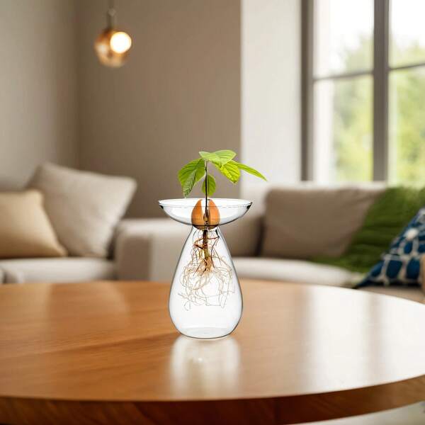 Avocado Seed Starter Kit - Wide-Top Glass Grow Vase For Indoor/Outdoor Use, Perfect For Gardening Enthusiasts