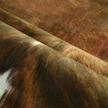 Faux Cowhide Rug, Cow Print, Rustic Western Rugs For Living Room Bedroom, Irregular Animal Skin Hides, 4.6 X 5.2ft, Anti-Skid Cool Carpets For Cowboy Cowgirl Home Decor, Khaki Brown - 橄欖綠 - 查看 7