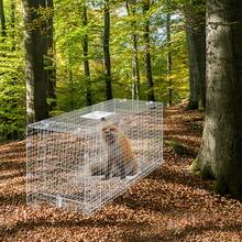 Live Animal Cage Trap, 42" X 16" X 18" Humane Cat Trap Galvanized Iron, Folding Animal Trap With Handle For Stray Dogs, Armadillos, Raccoons, Marmots, Foxes