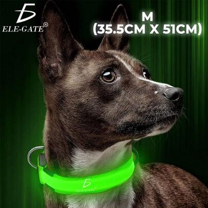 ELE-GATE Collar Para Perro Gato Mascota Iluminado Con Luz Led Forma:M