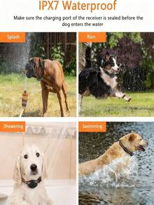 Pet Bark Collars - 黑色 - 查看 6