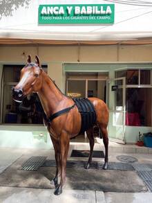 FAJA ABDOMINAL PARA CABALLO - Negro - Ver 6