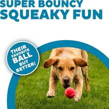 Outward Hound Squeaker Ballz 4-Pack Tennis Ball Dog Toys With Squeaker, Interactive Fetch Play For Pets Under 50 Lbs, Training Balls For Indoor &Amp; Outdoor Exercise, Medium, 25-Inch - MàuF - Xem 3