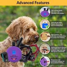 Pet Basic Dog Collars - Type1 - View 3